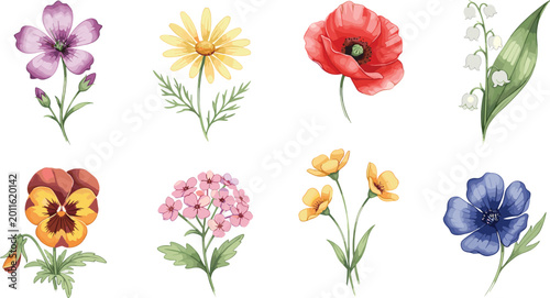 Foto Watercolor Flower Icon Collection Featuring Poppies, Daisies, Lilies, Pansies, B