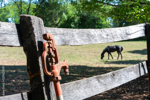 Bild auf Leinwand A vintage water pump with a horse in the background