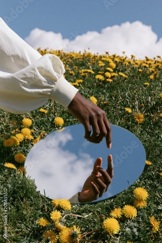 Hand reaching toward mirror on grassy field with dandelions