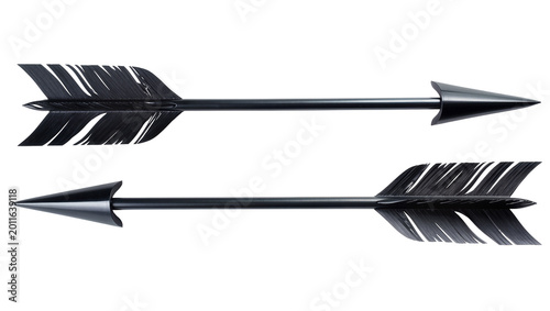 Obraz na plátne Sleek black arrow pair with feathered fletching and sharp metal tips