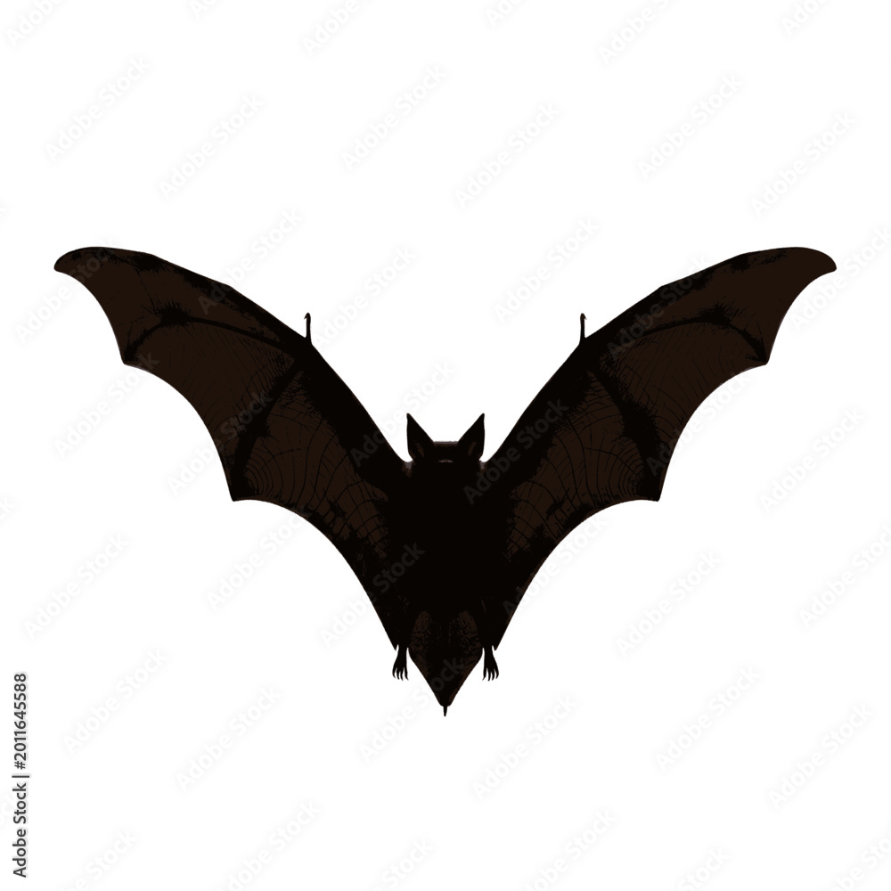 Fototapeta premium A black bat with outstretched wings, isolated on a white background, symbolizing Halloween and nocturnal creatures.
