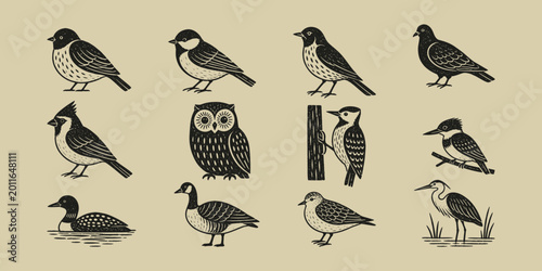 Bild auf Leinwand Vintage hand drawn bird collection including owl cardinal woodpecker and heron i