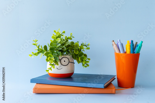 Dopamine decor cozy desk setup with cute face plant pot, colorful markers in orange cup and stacked notebooks, playful minimalism workspace vibe, back to school aesthetic and bright home office mood