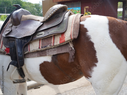 Foto Leather horse saddle with patterned blanket on a brown and white pinto horse