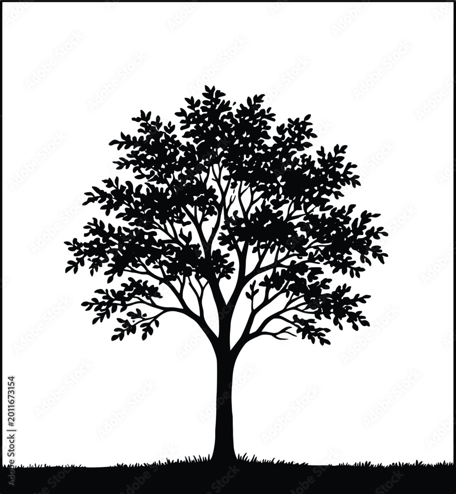 Fototapeta premium Detailed black tree silhouette with lush leaves and grass ground isolated on white background for nature forest landscape design.