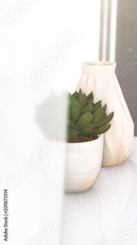 Stylish decor setup with plants and ceramic objects in a sunlit room, creating a peaceful and elegant interior mood.
