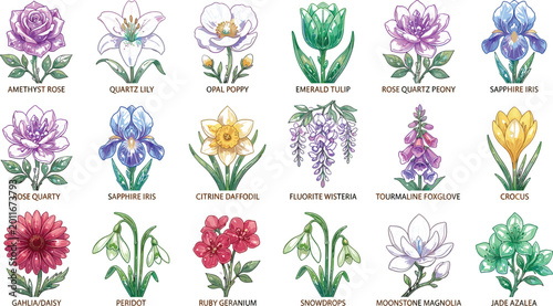 Foto Birth Month Flower Icon Set with Detailed Botanical Rose, Lily, Tulip, Iris, Car