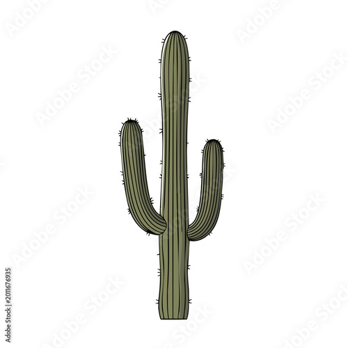 A tall green saguaro cactus with two arms reaching upwards.