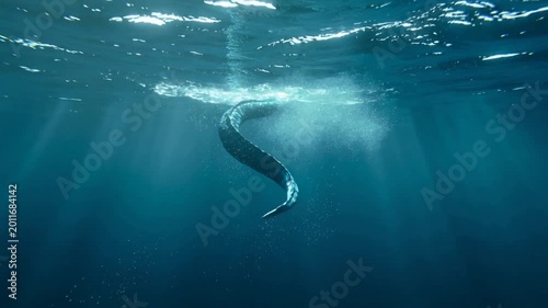 A gigantic underwater serpent swimming deep beneath blue ocean water with rays of sunlight shining through surface in cinematic underwater scene - mysterious fantasy sea creature - exploration and myt