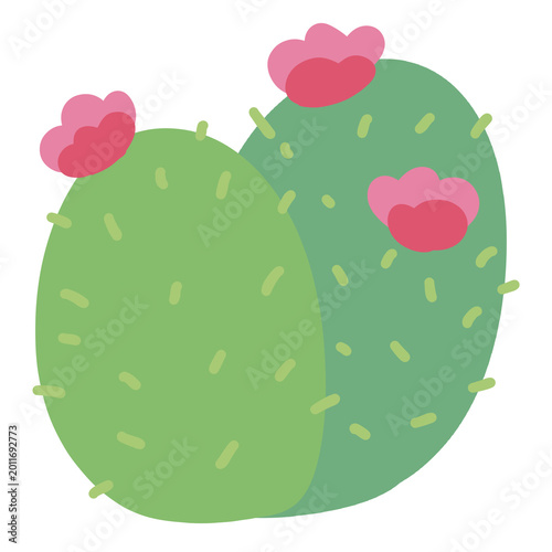 Cactus plant illustration