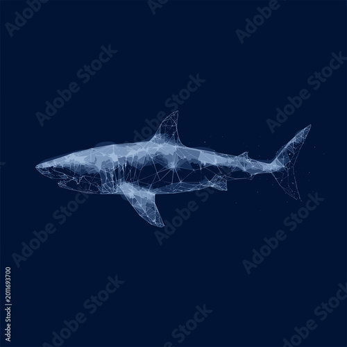 Abstract polygonal shark illustration created with glowing wireframe lines and geometric digital structures, combining marine wildlife with futuristic technology in a modern minimalist artistic design