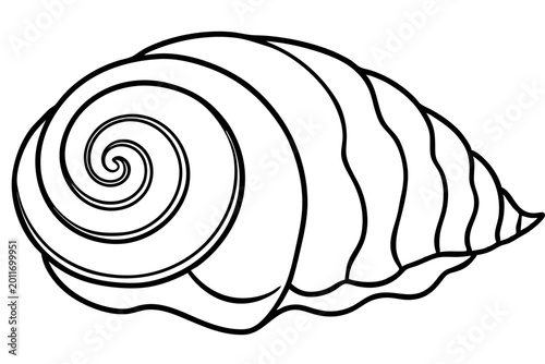 Minimal Seashell Spiral Outline SVG | Nautical Shell Line Art Vector