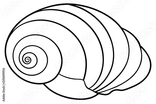 Minimal Seashell Spiral Outline SVG | Nautical Shell Line Art Vector
