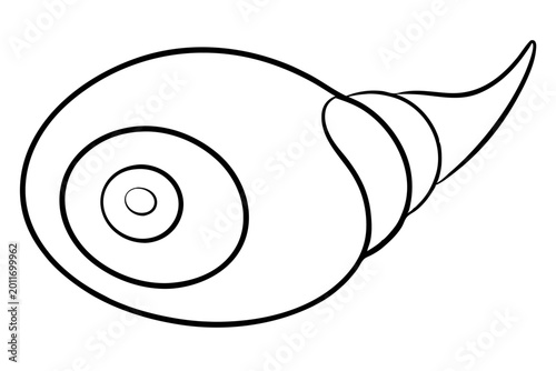 Minimal Seashell Spiral Outline SVG | Nautical Shell Line Art Vector