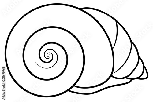 Minimal Seashell Spiral Outline SVG | Nautical Shell Line Art Vector