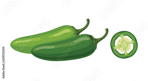 Two whole green jalapeo peppers are positioned next to a single detailed round slice showing the inner seeds and pulp on a white background.