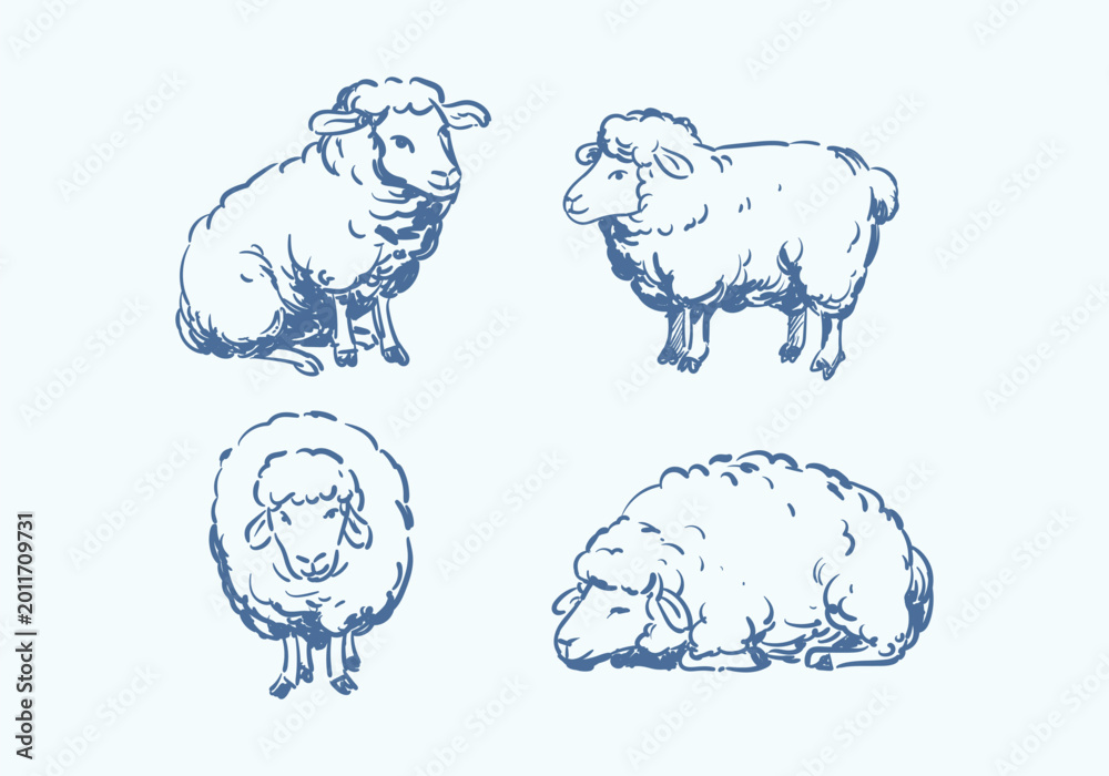 Obraz premium Hand drawn sheeps different poses of fluffy farm animals in vintage sketch style vetor illustration set. Isolated on background.