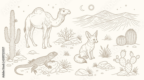 Quadro su tela Desert wildlife illustration featuring a camel, fennec fox, lizard, and various cacti under a starry sky with mountains in the background