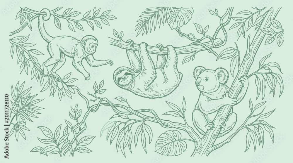 Fototapeta premium A whimsical illustration of a monkey, a sloth, and a koala amidst lush jungle foliage and branches.