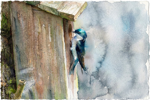 Rustic Birdhouse With Blue Swallow Perched at Entry Watercolor Painting of Nesting and Home