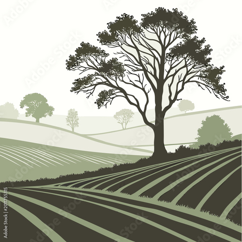 Fotografie Graphic illustration of a leafy tree in an agricultural landscape with landscape