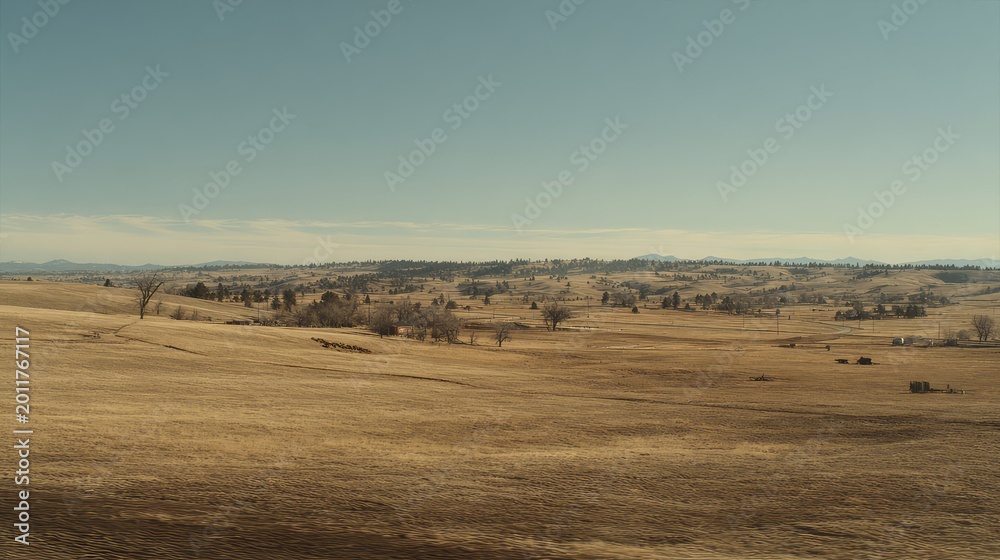 Fototapeta premium Expansive uncultivated landscape presenting rolling golden hills, dry grassy terrain, and sparse trees stretching towards a distant horizon under a wide blue sky