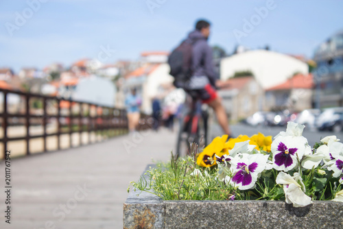 They stroll along the wooden boardwalk on the beach in summer