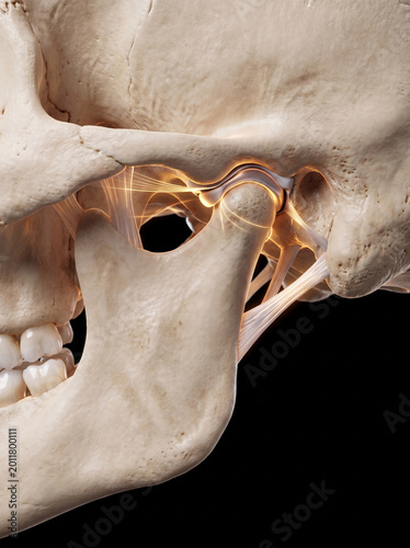 Detailed 3D rendering of human temporomandibular joint (TMJ) with illuminated ligaments and nerves on a black background