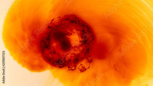 Dark red ink diffusion in bright liquid creating abstract organic motion and soft gradients