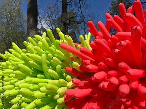 Long, slender modeling balloons in bright lime green and bold red texture