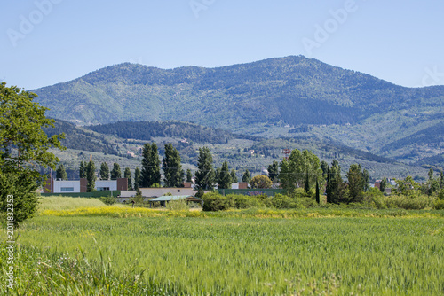 Foto Green fields and Monte Morello in Sesto Fiorentino, Tuscany