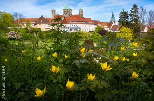Foto Frühlingsanfang in Hildesheim im Magdalenen-Garten, Deutschland