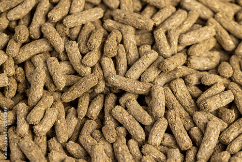 dry food for rodents with grass, cereal plant