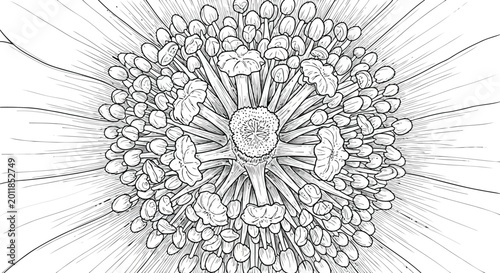 Schilderij op canvas Adobe Illustrator Artwork