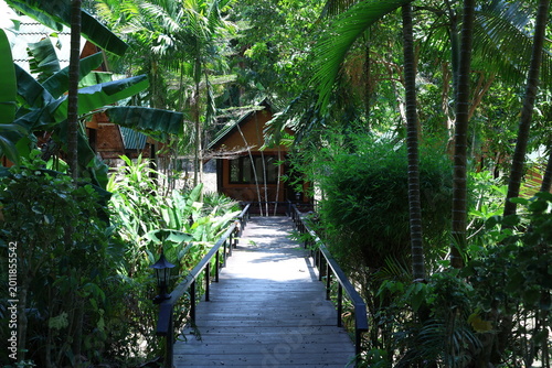 Obraz na płótnie Bungalow tropical avec passerelle en bois