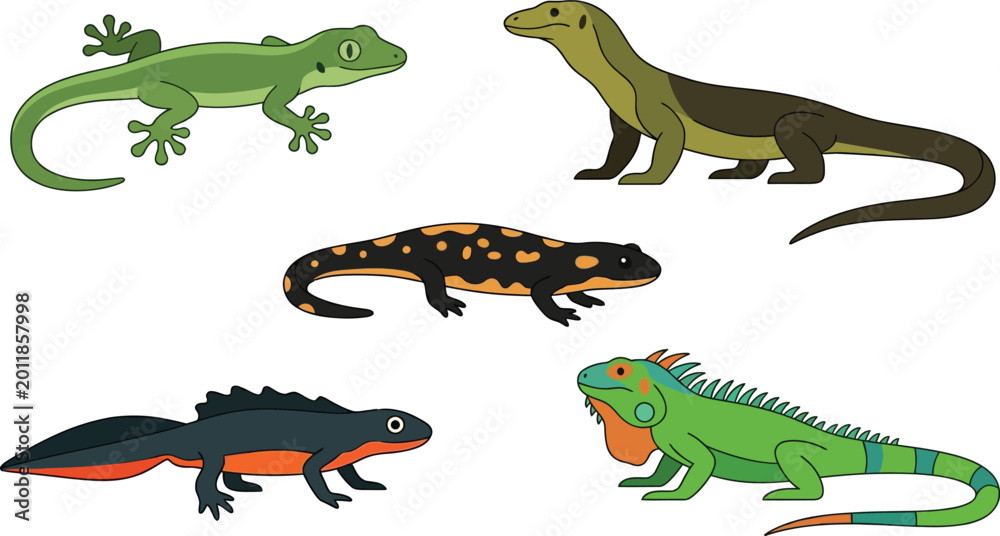 Fototapeta premium Set of cartoon dinosaur silhouettes including wild reptiles like lizards and crocodiles isolated on a white background with green iguanas and black dragons featuring long tails