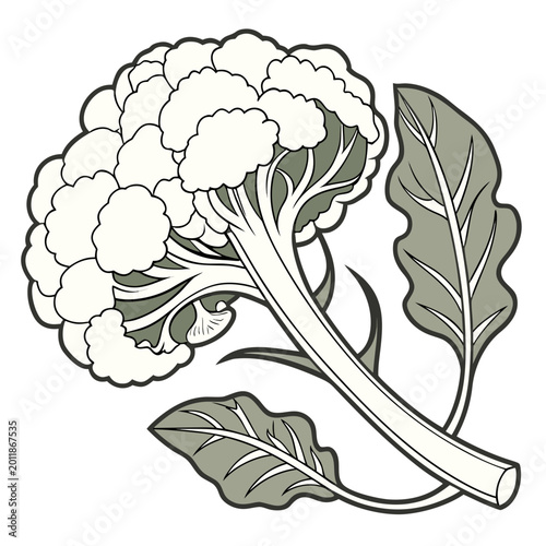 Fotografia Cauliflower with leaves vegetable soup vegetable side dish cauliflower