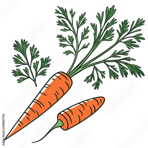 Schilderij op canvas Fresh orange carrots with green tops white background beta carotene side dish