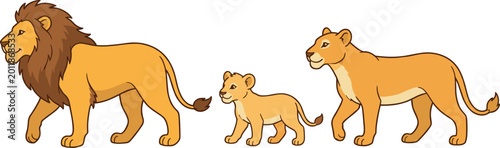 Photography Lion Family Character Set withLion Family Character Set with Male Lion, Lioness,
