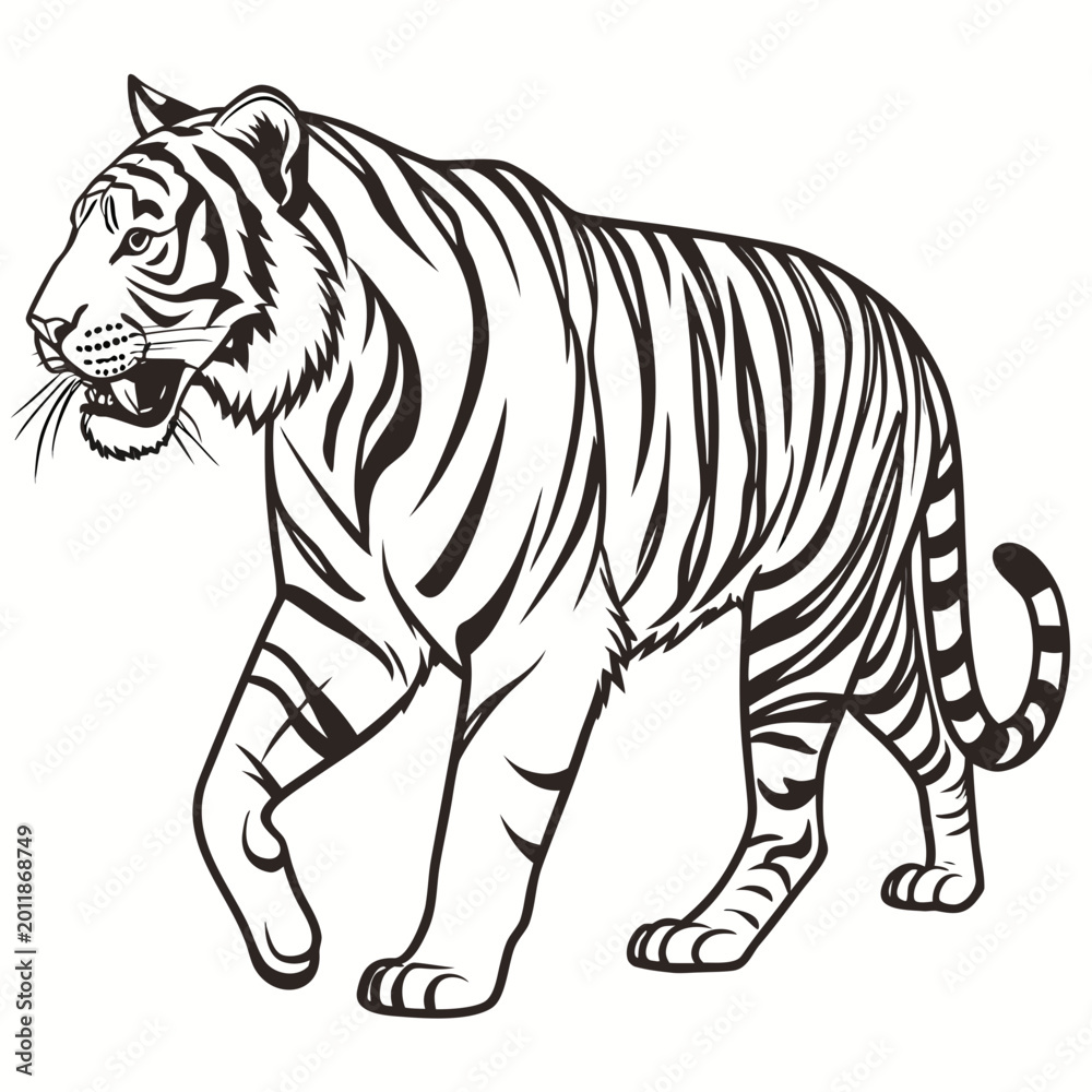 Fototapeta premium Black and white illustration of a tiger walking with open mouth, big cat