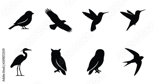 Fotografi Diverse Bird Silhouettes Collection, Vector Icons for Nature and Wildlife Design