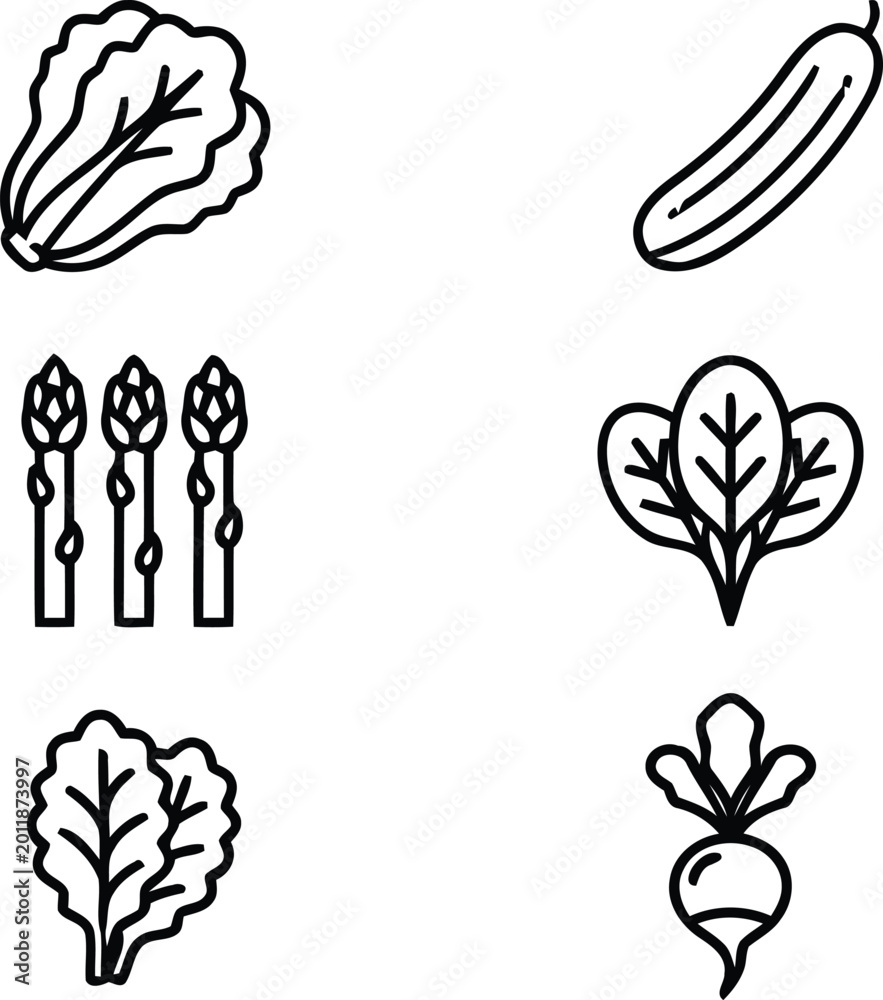 Fototapeta premium Vegetable Line Icon Set with Lettuce Cucumber Asparagus Spinach Cabbage and Radish Minimalist Healthy Food Vector Art