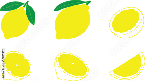 Hand Drawn Lemon Fruit Set Whole and Sliced Citrus Fresh Vector Illustration