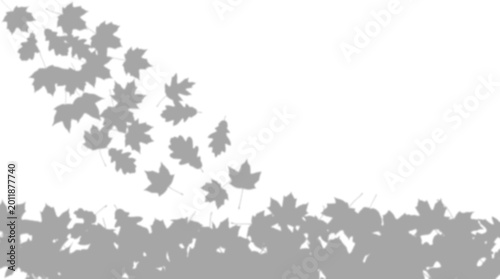 Falling maple leaves autumn shadow overlay effect, isolated on transparent background