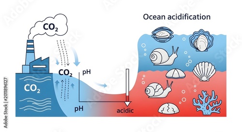 Ocean acidification impact illustration isolated on white background