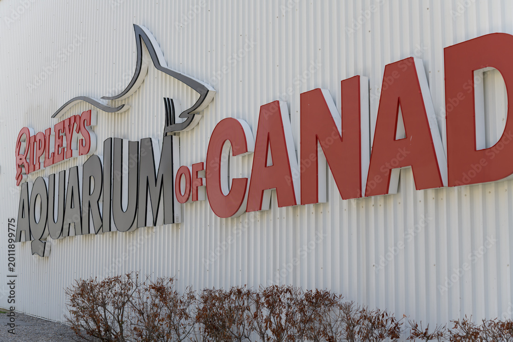 Fototapeta premium Ripley's Aquarium of Canada located at 288 Bremner Blvd, Toronto