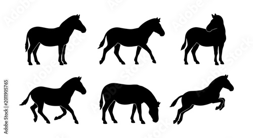 Cuadro en lienzo Horse Silhouettes Collection: Galloping, Standing, Grazing, Jumping Equine Vecto