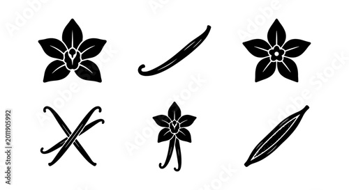 Bild auf Leinwand Vanilla Bean Icons, Orchid Flowers, Culinary Ingredients, Botanical Vector Graph
