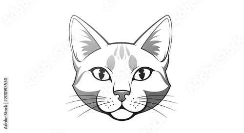 White and gray of a sad bulldog wearing a party hat animal