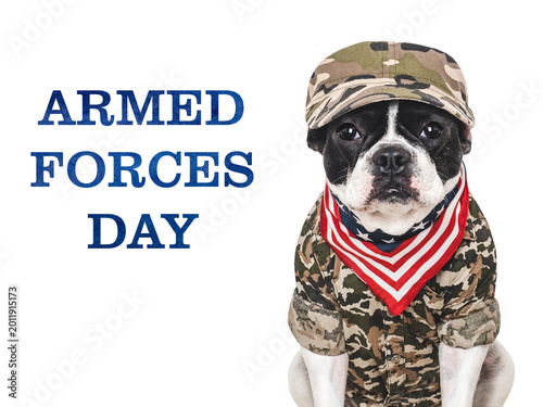 Cuadro en lienzo Armed Forces Day